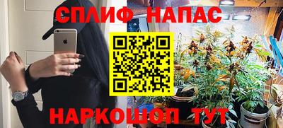 эйфоретик Новодвинск
