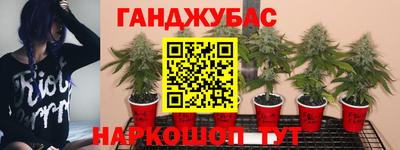 мяу мяу мука Обнинск