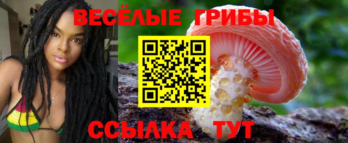Галлюциногенные грибы MAGIC MUSHROOMS Среднеуральск