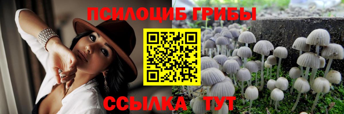 Галлюциногенные грибы Cubensis  Вход с VPN  Галлюциногенные грибы Cubensis  Среднеуральск 